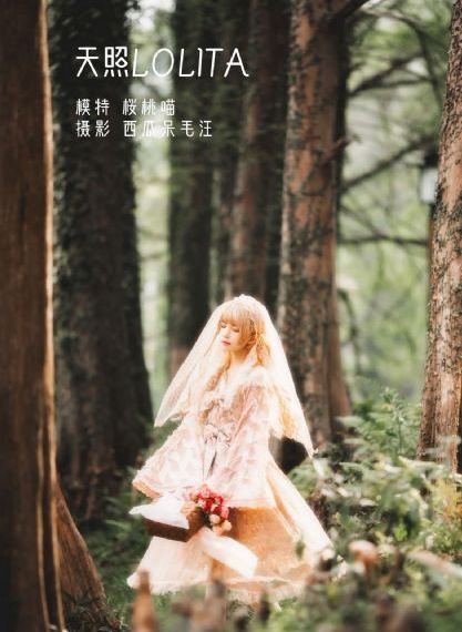 高清理论片_720免费观看